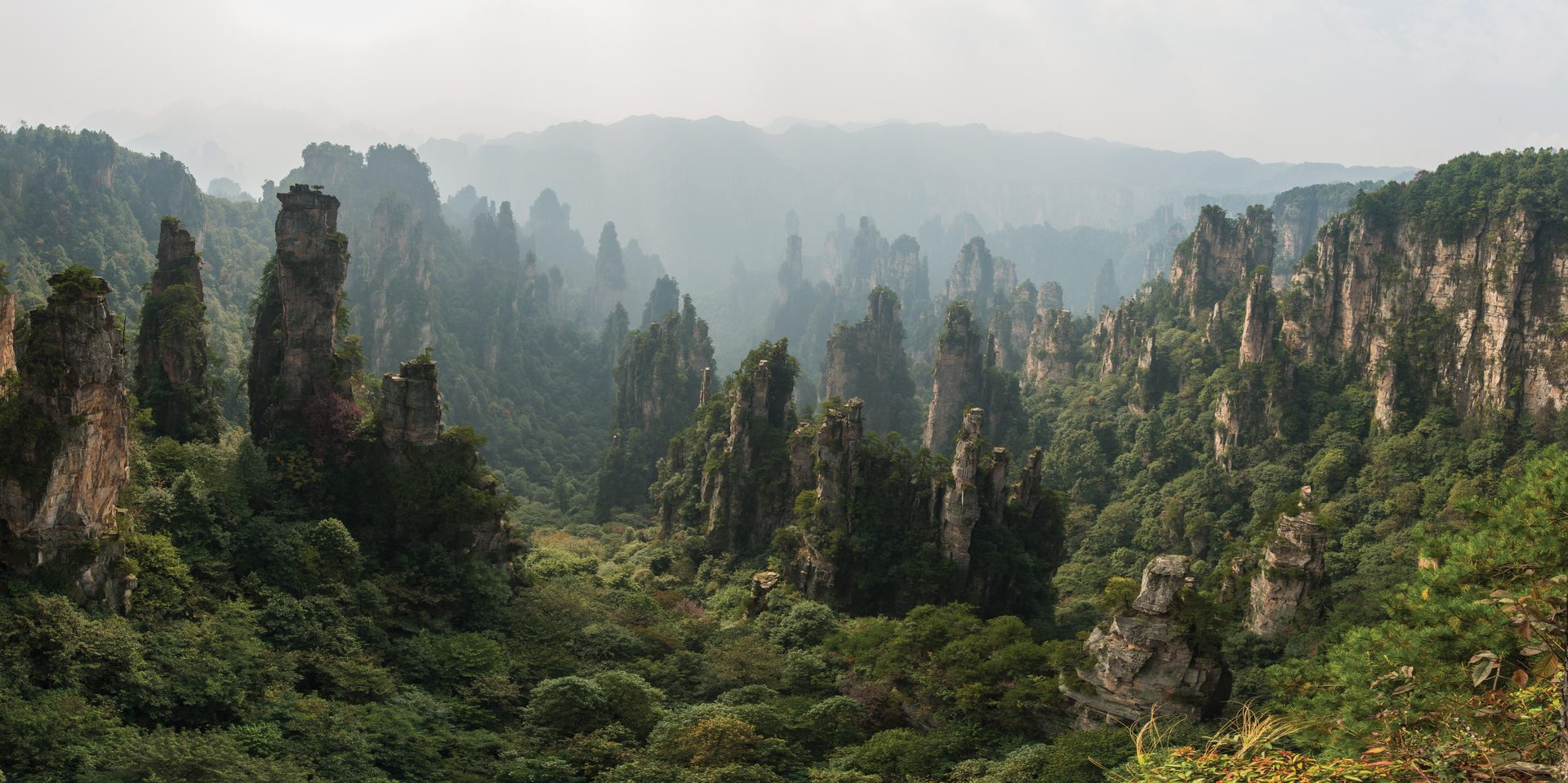Quartz sandstone pillars of Tianzi Mountain, Wulingyuan, Zhangjiajie, rising through mist — Photo: chensiyuan / CC BY-SA 4.0 via Wikimedia Commons