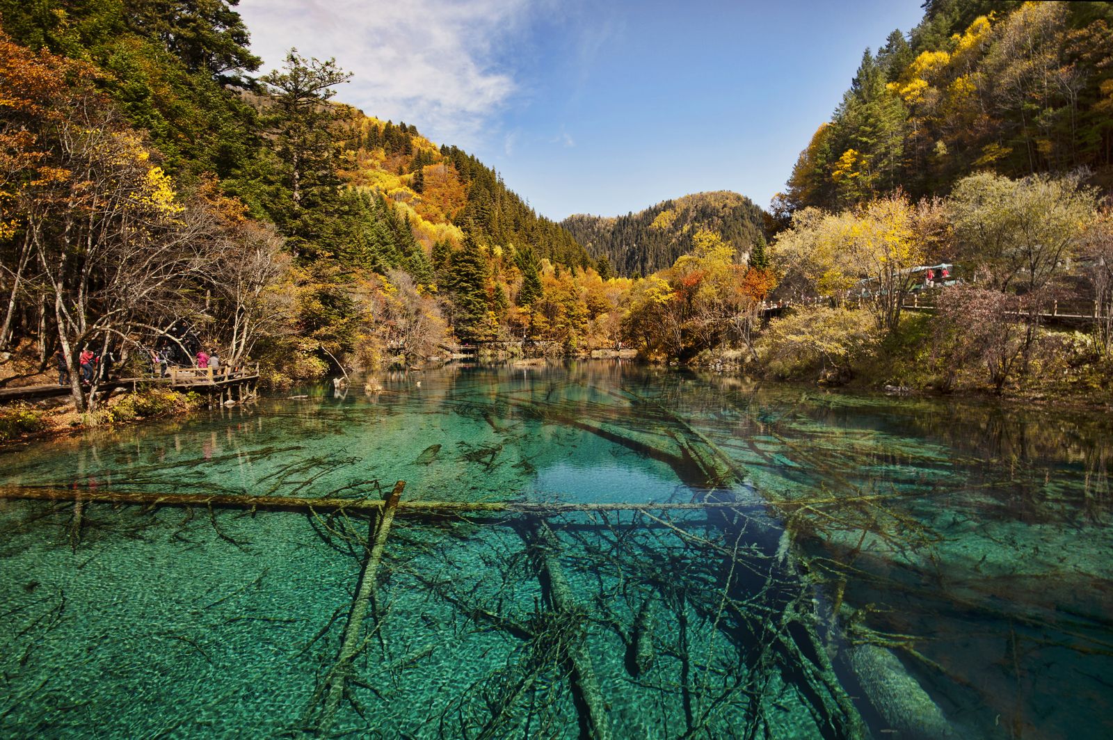 Five-Flower Lake, the signature stop on a one-day Jiuzhaigou route