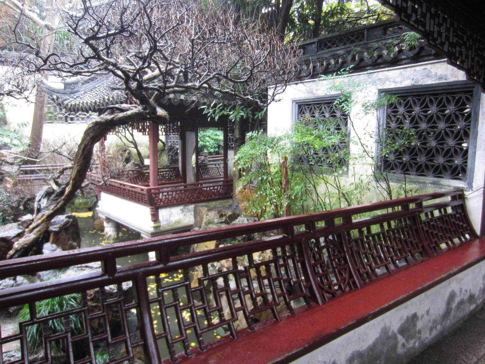 A waterside pavilion and covered walkway inside Yu Garden, with carved windows and rockeries